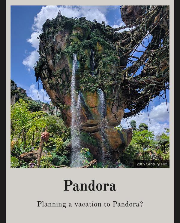 You've Chosen Pandora!