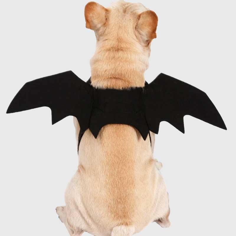 Pet Vampire Bat Wings - Wyvern's Hoard
