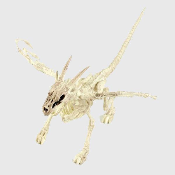 Fantastical Animal Skeletons - Wyvern's Hoard