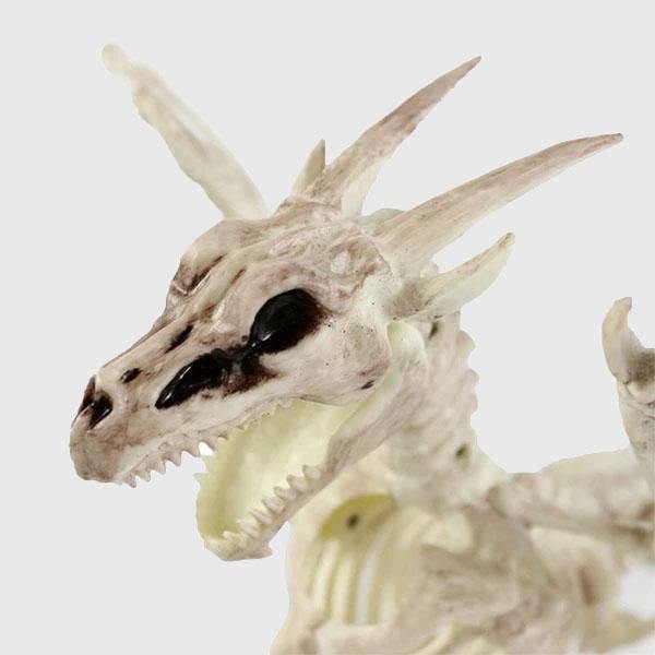 Fantastical Animal Skeletons - Wyvern's Hoard