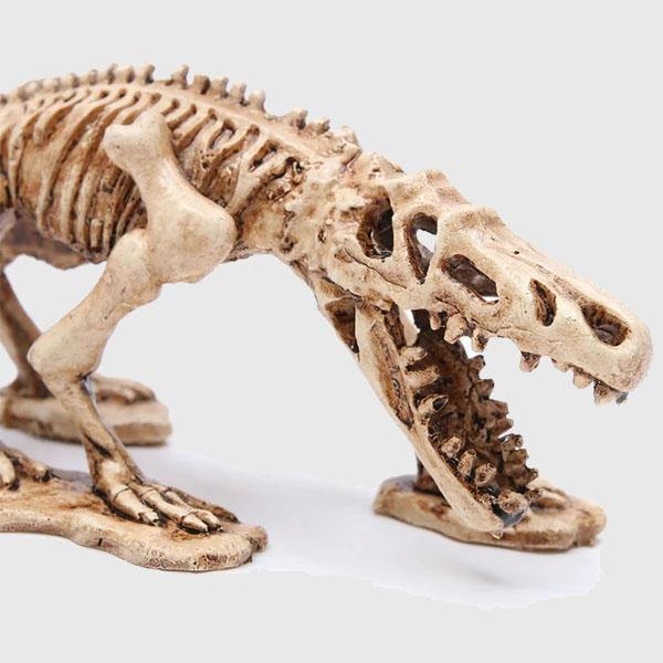 Fantastical Animal Skeletons - Wyvern's Hoard