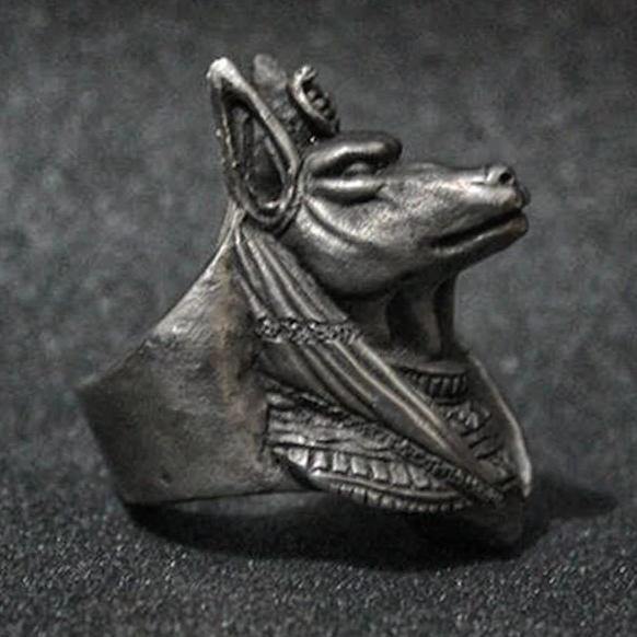 Jackal Anubis Ring - Wyvern's Hoard