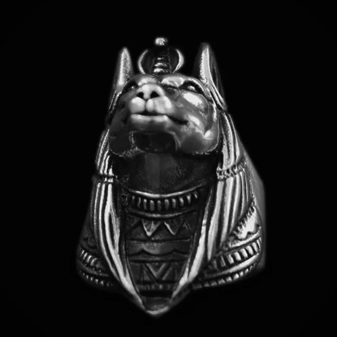 Jackal Anubis Ring - Wyvern's Hoard