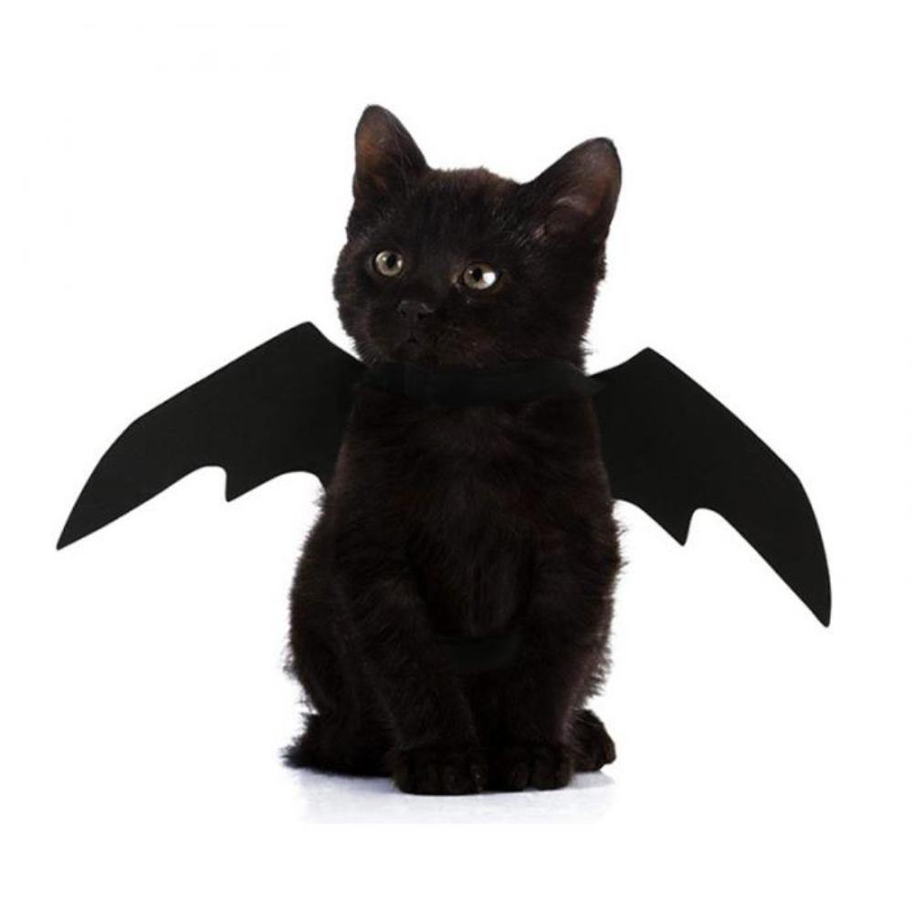 Pet Vampire Bat Wings - Wyvern's Hoard