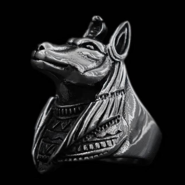 Jackal Anubis Ring - Wyvern's Hoard