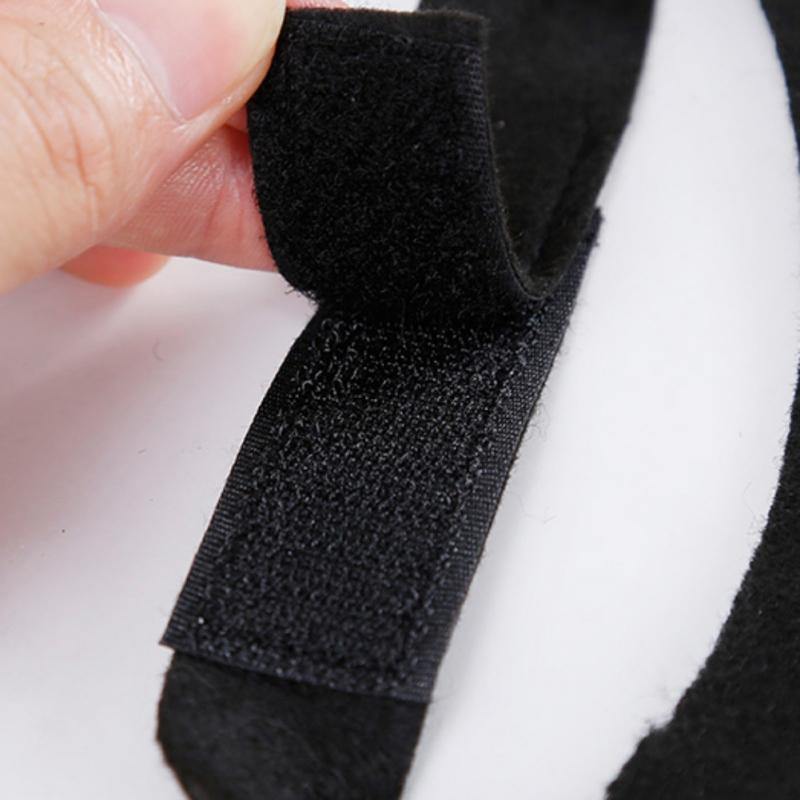 Pet Vampire Bat Wings - Wyvern's Hoard