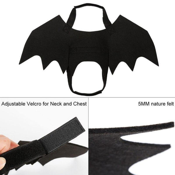 Pet Vampire Bat Wings – Wyvern's Hoard