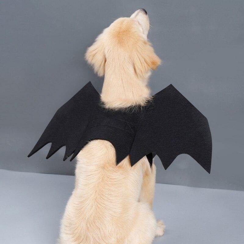 Pet Vampire Bat Wings - Wyvern's Hoard