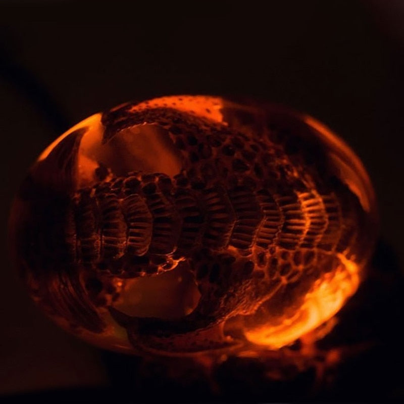 Baby Lava Dragon Eggs