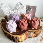Cute Owl Mold - Wyvern's Hoard
