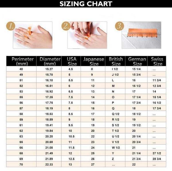 Fanduco Rings Four Celestial Guardians Titanium Steel Ring