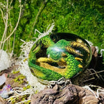 Baby Lava Dragon Eggs